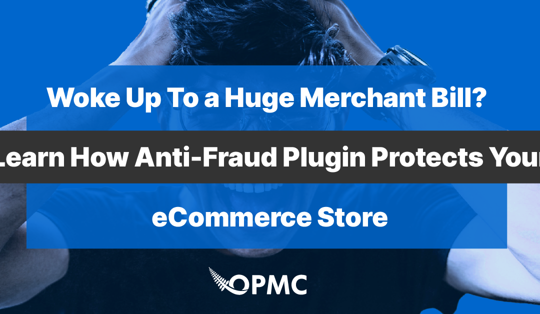 How our Anti-Fraud Plugin Protects Your eCommerce Store?