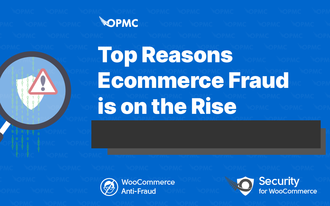 Top Reasons Ecommerce Fraud is on the Rise