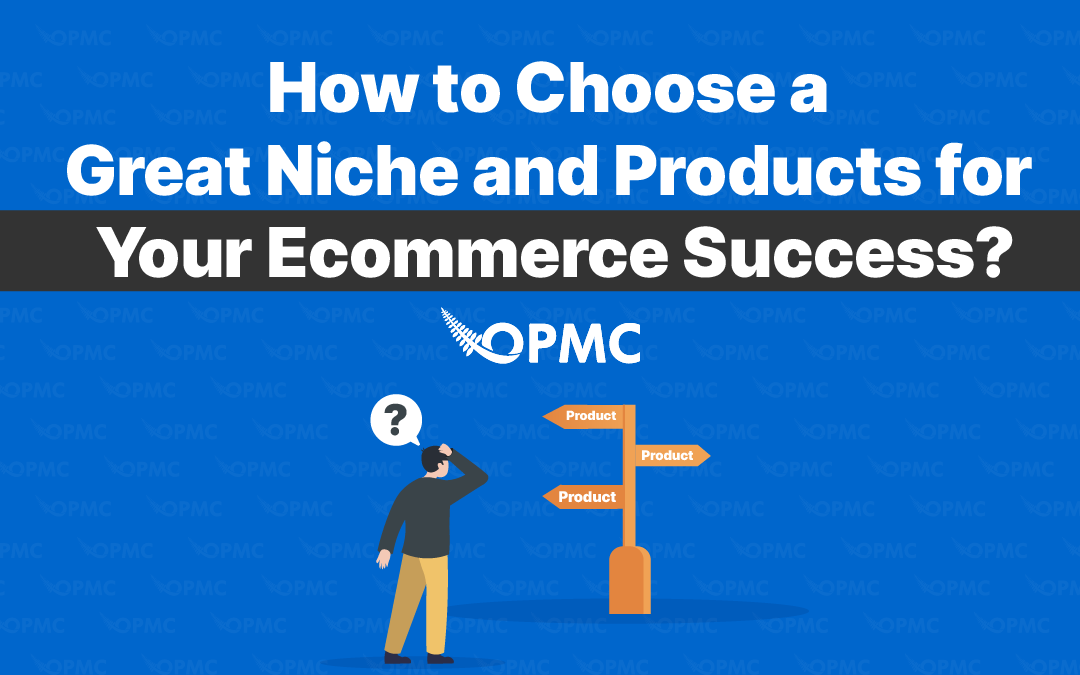 How to Choose a Great Niche and Products for Your Ecommerce Success?