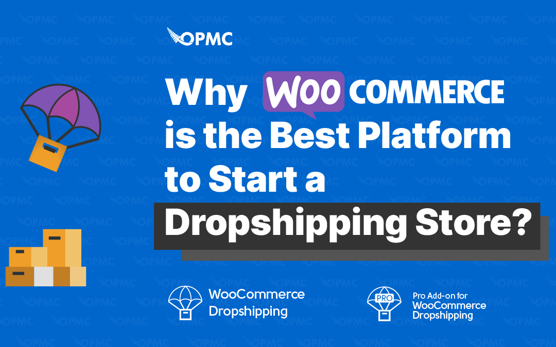 Why WooCommerce is the Best Platform to Start a Dropshipping Store?