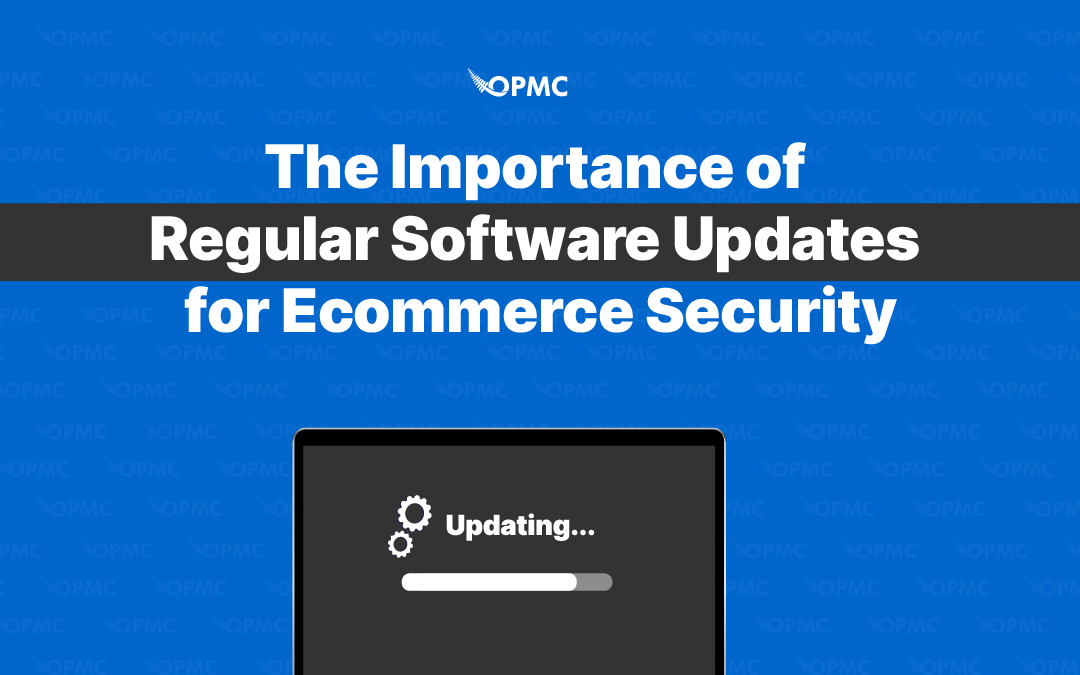 The Importance of Regular Software Updates for Ecommerce Security