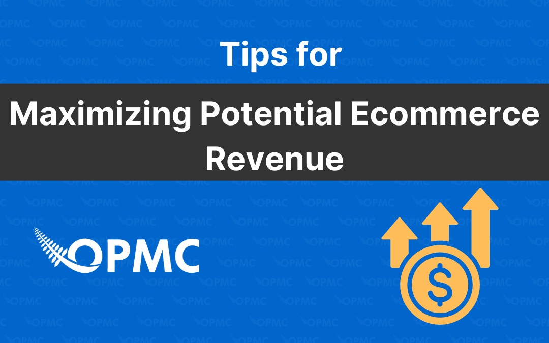 Tips for Maximizing Potential Ecommerce Revenue