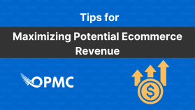 Tips for Maximizing Potential Ecommerce Revenue from your customers