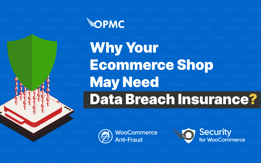 Why Your Ecommerce Shop May Need Data Breach Insurance?