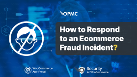 How Best to Respond to an Ecommerce Fraud Incident