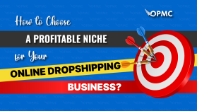 How to Choose a Profitable Niche for Your Online Dropshipping Business