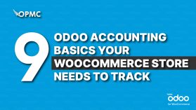 9 Odoo Accounting Basics Your WooCommerce Store Needs to Track