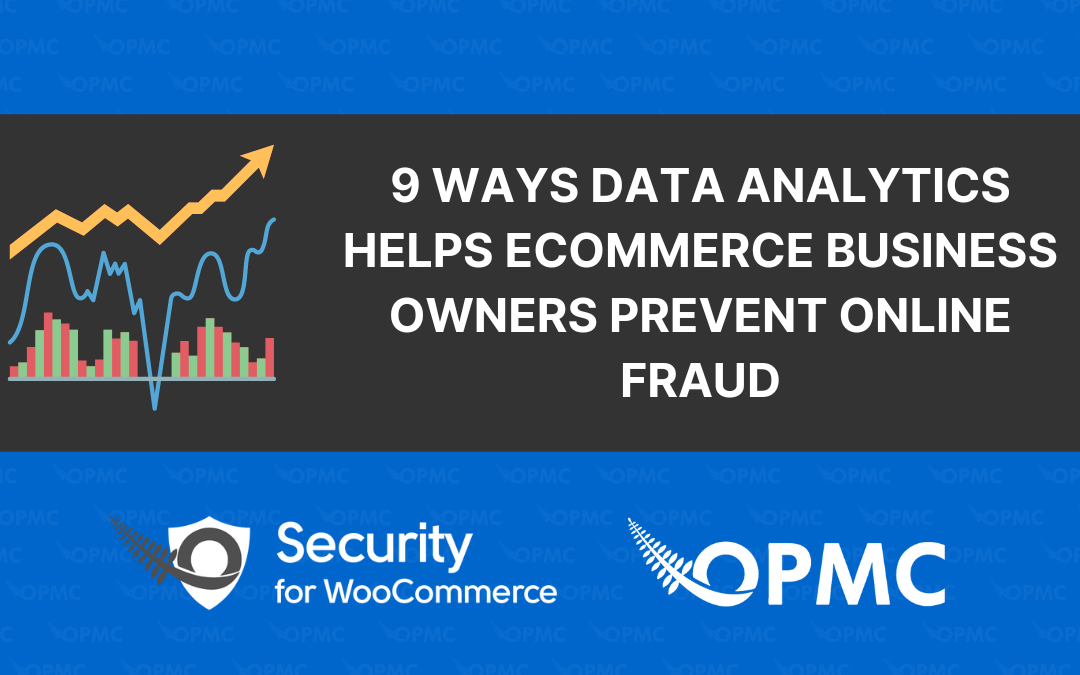 9 Ways Data Analytics Helps Ecommerce Business Owners Prevent Online Fraud