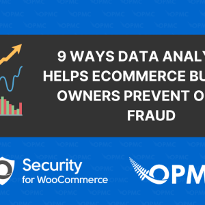 9 Ways Data Analytics Helps Ecommerce Business Owners Prevent Online Fraud